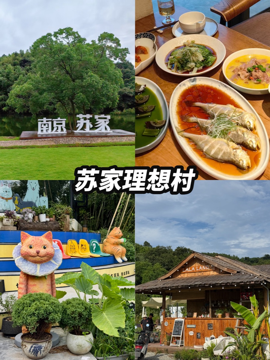 南京团建一般多少钱？50 人 / 100 人预算表｜南京团建攻略配图