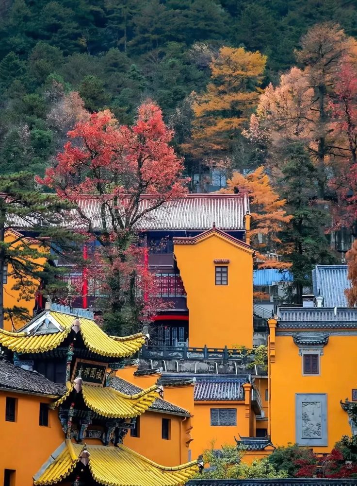 安徽九华山｜周边团建场地实拍